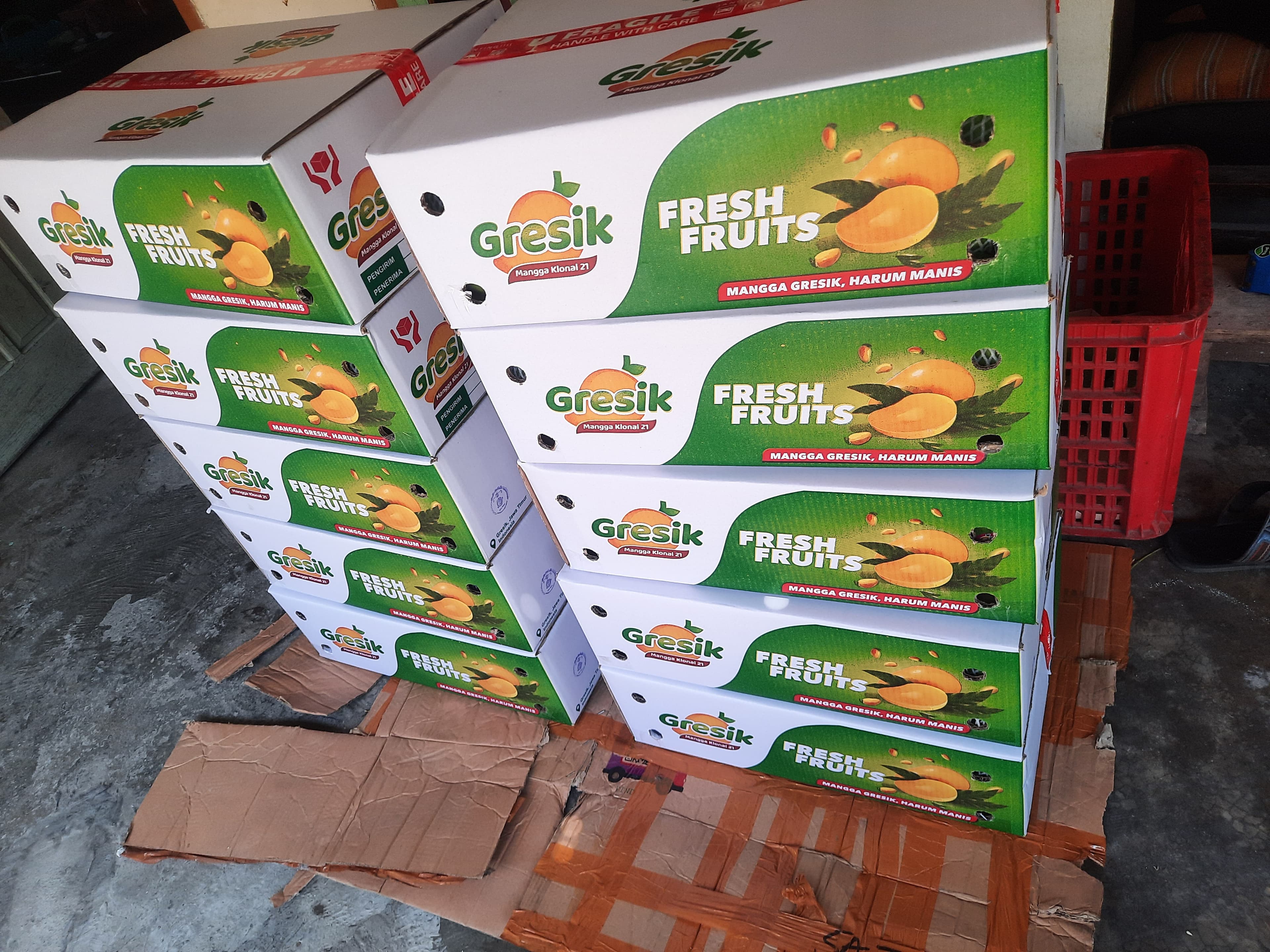 Mango Harum manis 2