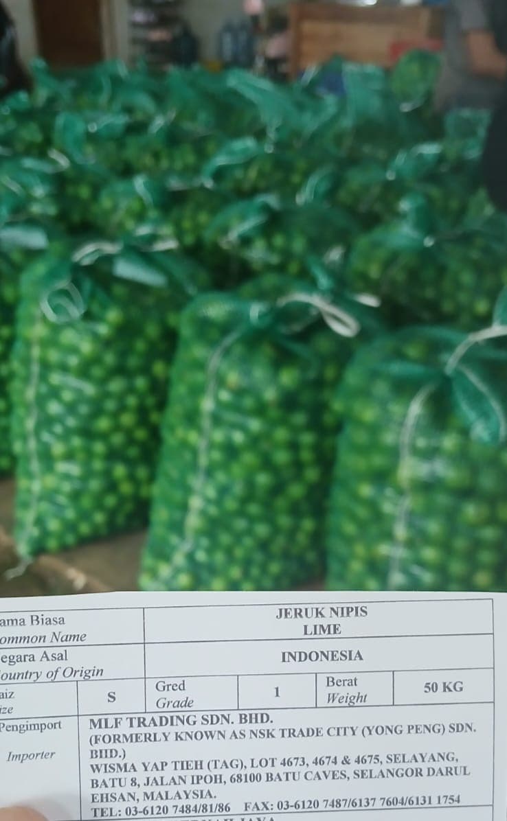 Lime citrus